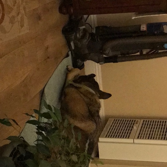 Meet your Posher, Jessica - Picture 1 of 1